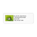 Search for mallard return address labels Duck
