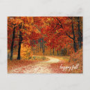 Search for orange tree postcards Yellow