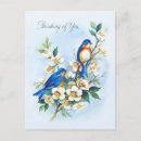 Search for think spring vertical postcards Flowers