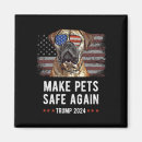Search for safe magnets America