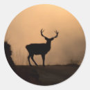 Search for forest silhouette stickers Deer