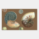 Search for shells rectangle stickers Conch