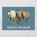 Search for for a horse lover invitations Foal