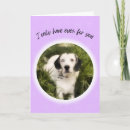 Search for eyes only cards Dog