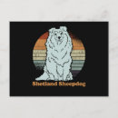 Search for sheepdog postcards Shetland