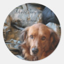 Search for military dog stickers Army