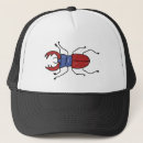Search for beetles hats Stag beetle