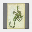 Search for scorpios magnets Astronomy
