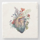 Search for anatomy coasters Heart