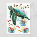 Search for sea turtle postcards Underwater
