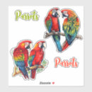 Search for parrot cartoon stickers For kids