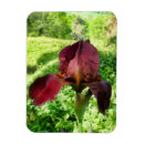 Search for ruby red magnets Crimson