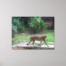 Search for cheetah art Colour