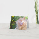 Search for coon cat cards Thinking of you
