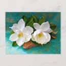 Search for yard postcards Bloom