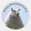 Search for funny sheep stickers Kids