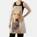 Search for vizslas aprons Dog