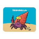 Search for hermit magnets Cute