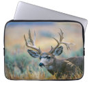 Search for mule electronics Antlers