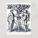 Search for tree of knowledge postcards Vintage