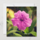 Search for simplex Flower