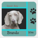 Search for dog photo stickers Modern