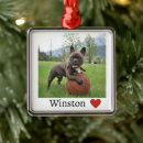 Search for french bulldog christmas decor Animal lover