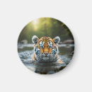 Search for predators magnets Nature