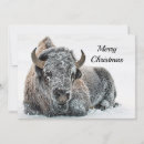 Search for bison christmas cards Wildlife