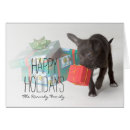 Search for chihuahua puppies postcards Small