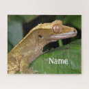 Search for gecko puzzles Nature