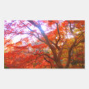 Search for big leaf maple stickers Tree