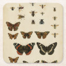 Search for insect coasters Animals