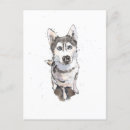 Search for husky dogs postcards Funny