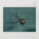 Search for black widow postcards Halloween