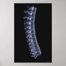 Search for column posters Medical