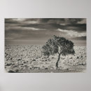 Search for pyramids posters Black and white