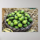 Search for ripe vegetables posters Still life