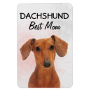 Search for dachshund magnets Pets
