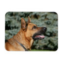 Search for deutscher magnets Panting