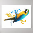 Search for gold macaw posters Blue
