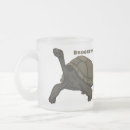 Search for tortoise gifts Ecuador