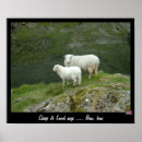 Search for baa posters Sheep