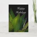 Search for succulents christmas cards Agave