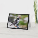 Search for puffin birthday cards Wildlife