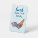 Search for eggs for sale signs Chickens