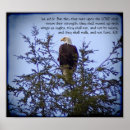 Search for 40 posters Photography