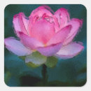 Search for pink lotus flower stickers Nature