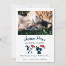Search for funny santa christmas cards Dog
