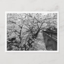 Search for black cherry postcards Japan
